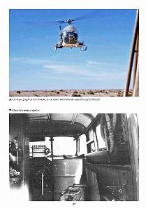 611 GYRAFRIQUE_000061